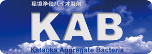 KAB -環境浄化バイオ製剤-のイメージ